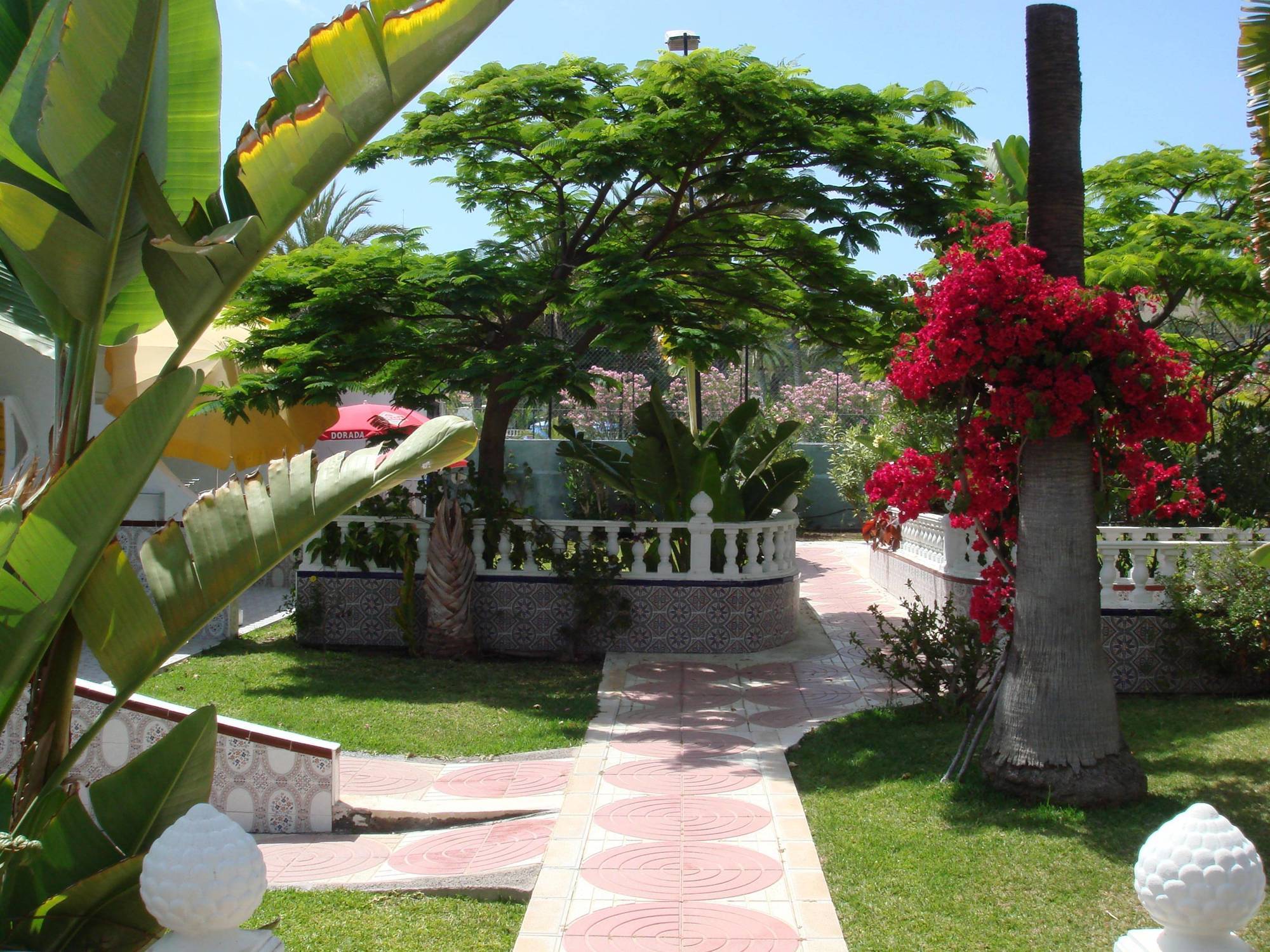 San Valentin & Terraflor Park Hotel ปลายา เดล อิงเกลส ภายนอก รูปภาพ